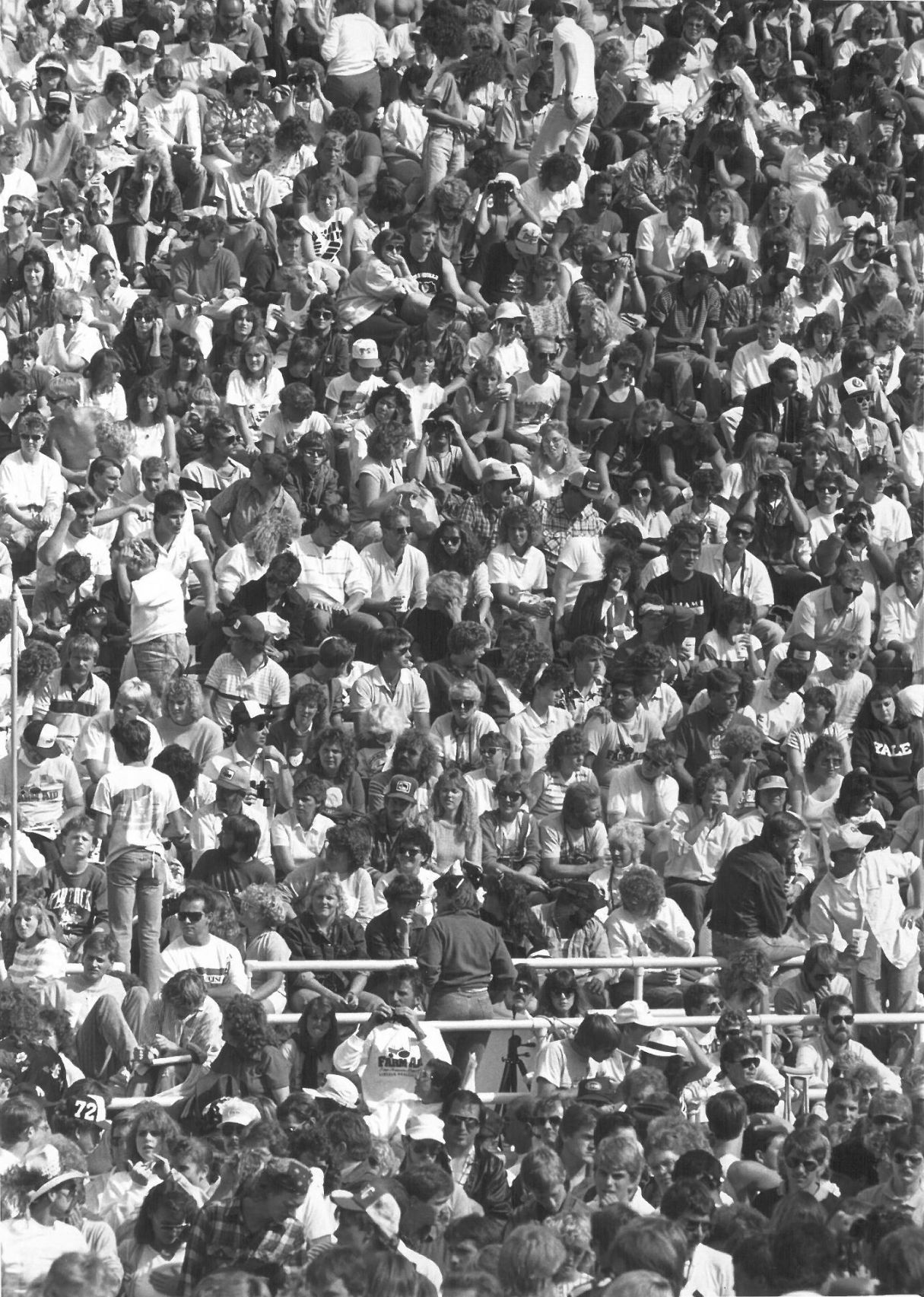 Crowd